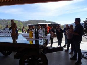 Pullman fino a 24 posti